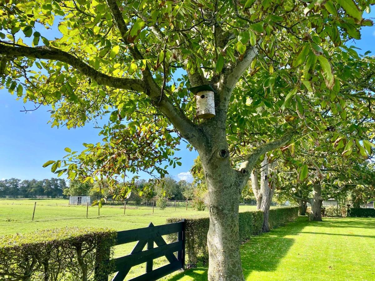 Vakantiewoning Skuur Bergen Luaran gambar